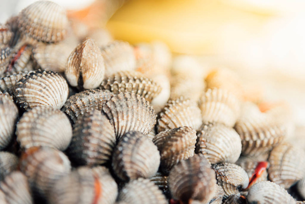 Almejas frescas de berberechos de mar en el mercado de mariscos
 - Foto, imagen