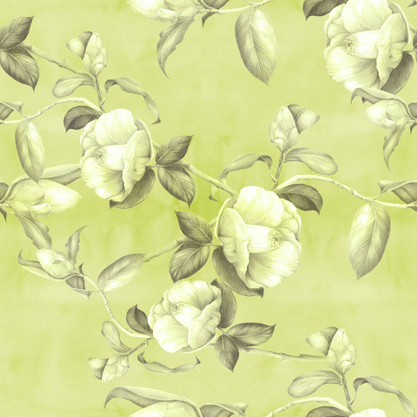 Camellia - flowers, buds and leaves - on a watercolor background.Collage of flowers, leaves and buds on a watercolor background.  - Foto, Bild