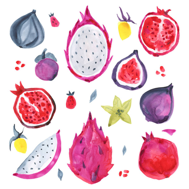 Aquarelle fruits exotiques. Illustration dessinée main
 - Photo, image