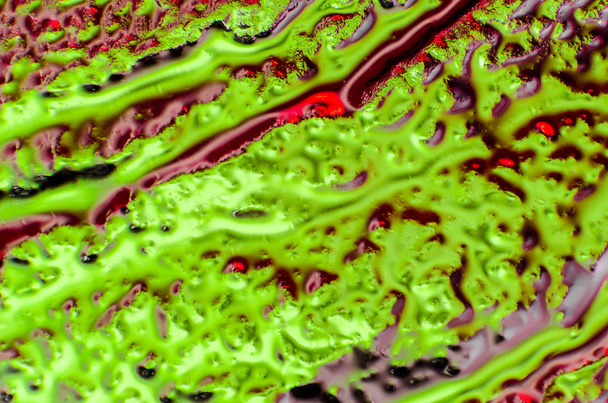 yeşil kırmızı soyutlama bütün çerçeve - Fotoğraf, Görsel