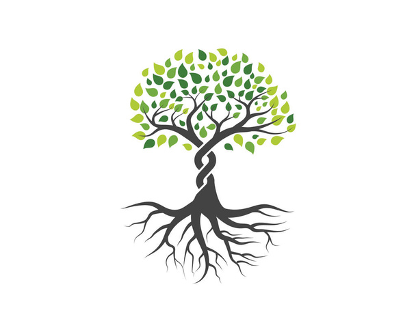 Logos do vetor verde da folha da árvore
 - Vetor, Imagem