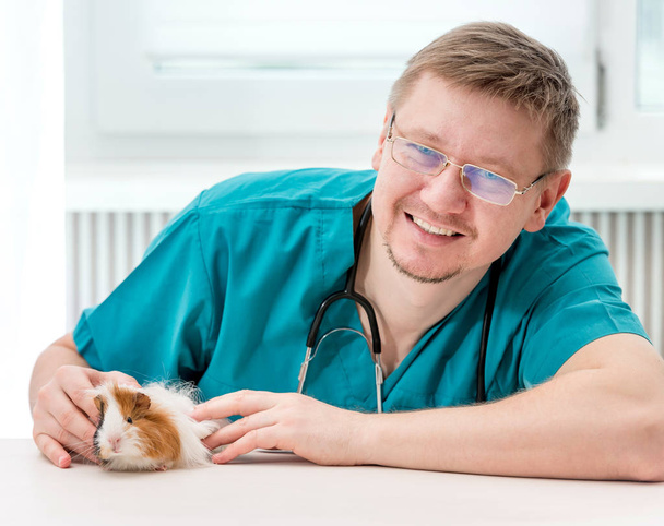 Handsome veterinarian in glasses examining guinea pig at table - Fotó, kép