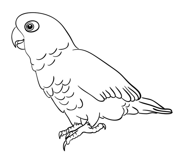 Cockatoo line art 01. Good use for symbol, logo, web icon, coloring, mascot, sign, or any design you want. - Vector, afbeelding