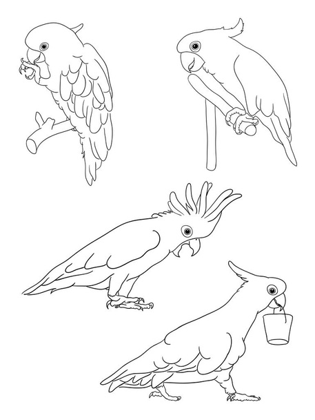 Cockatoo line art 06. Good use for symbol, logo, web icon, mascot, coloring, sign, or any design you want. - Vector, Image
