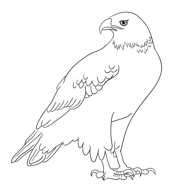 Eagle line art 02. Good use for symbol, logo, web icon, mascot, coloring, sign, or any design you want. - Vektori, kuva