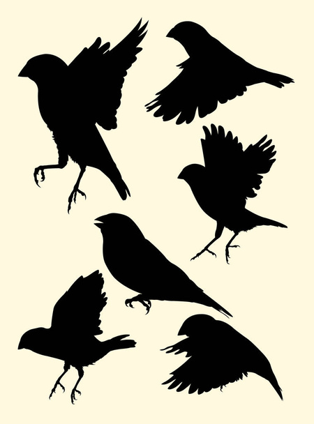 Zebra finch silhouette 01. Good use for symbol, logo, web icon, mascot, sign, or any design you want. - Vector, Image