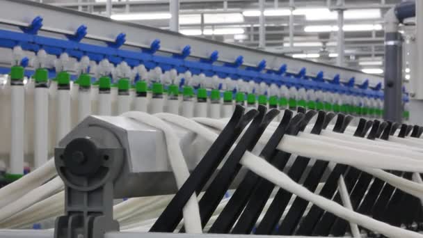 Machines en materieel in de werkplaats voor de productie van wol, overzicht. interieur van industriële textielfabriek. de camera stilstaat - Video