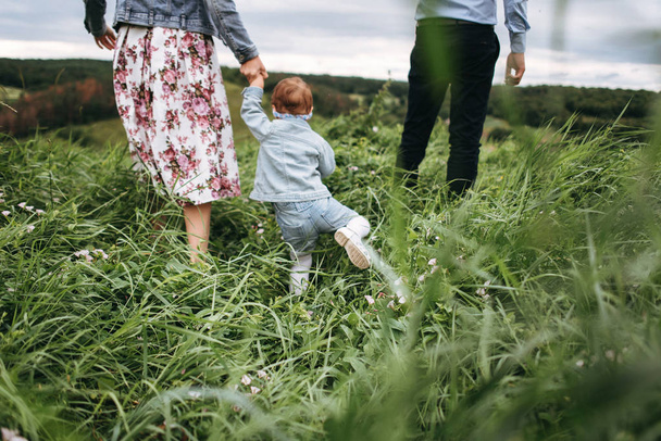 Rear view of family walking by green grass - Foto, Imagen
