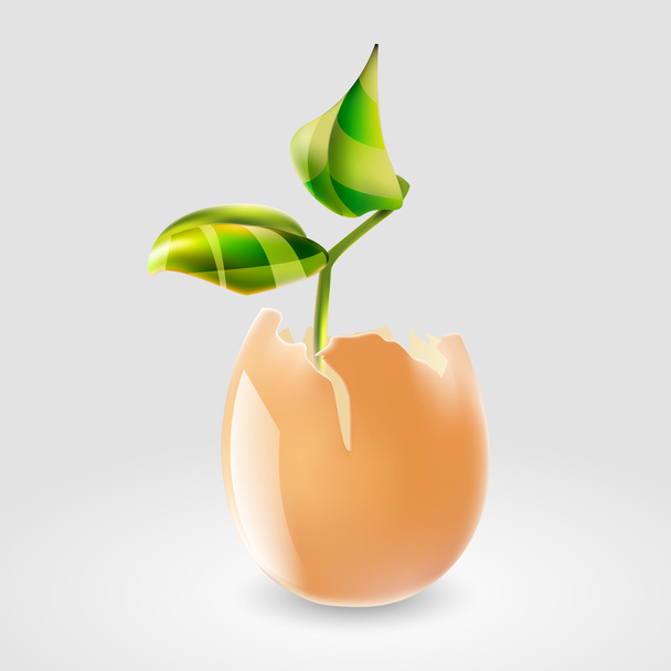Vector illustration of a plant in eggshell. - Vector, Image