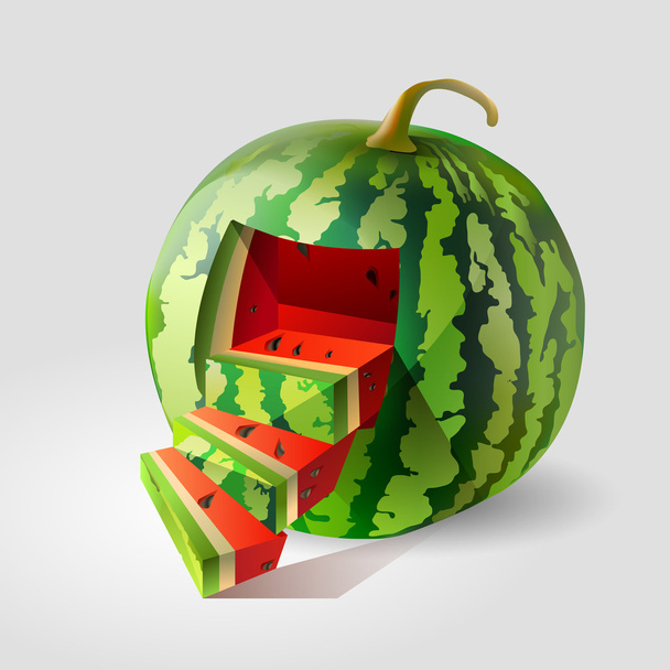 vektorová ilustrace melounu vodního. - Vektor, obrázek