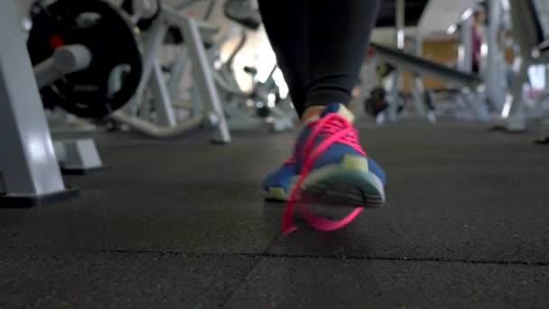 Бегущая обувь - женщина вяжет ботинки в спортзале
 - Кадры, видео