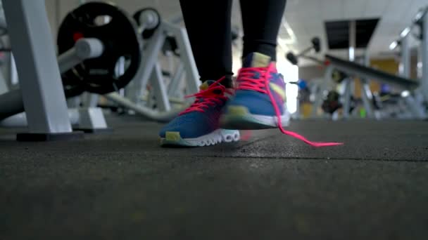 Futócipő - nő odakötő cipőfűzők az edzőteremben - Felvétel, videó