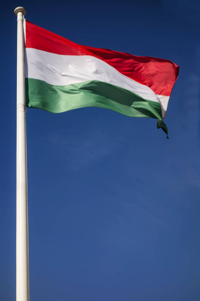 Maďarská vlajka - Fotografie, Obrázek