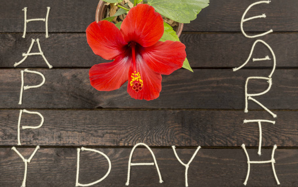 Earth day concept.Red hibiscus on wooden background - Φωτογραφία, εικόνα