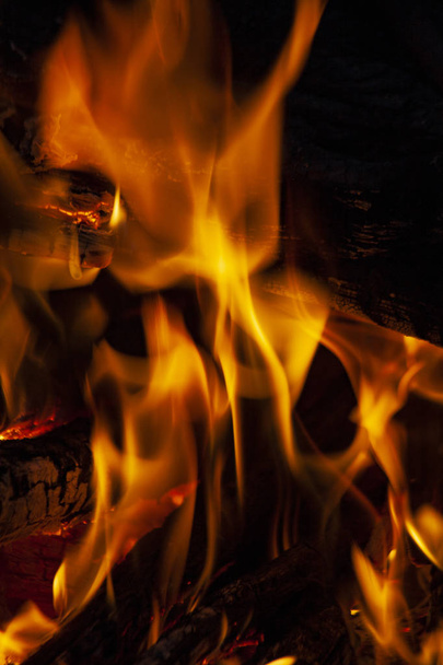 Fire, flames on a black background. Fire for advertising. Fire a fire. - Zdjęcie, obraz
