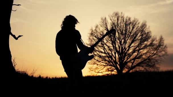 člověk hraje na elektrickou kytaru a zpívá lyrická píseň v poli poblíž stromu při západu slunce. silueta - Záběry, video