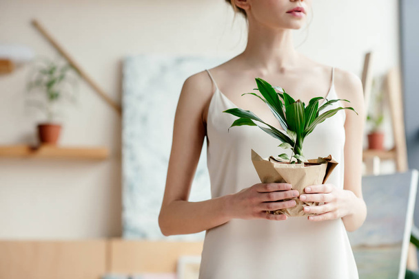 ritagliato colpo di tenera giovane donna in possesso di verde pianta in vaso in studio d'arte
 - Foto, immagini