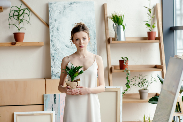 beautiful young woman holding potted plant and looking at camera in art studio - Foto, imagen