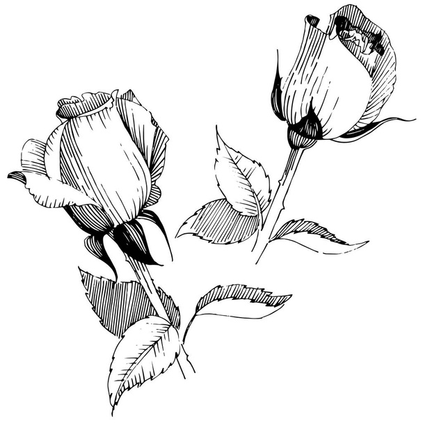 Fleur rose sauvage dans un style vectoriel isolé
. - Vecteur, image