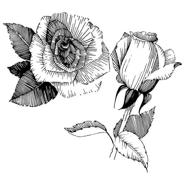 Дика квітка троянди в векторному стилі ізольовані
. - Вектор, зображення