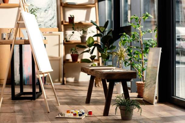 interior of artist studio with painting supplies, potted plants and bench  - Photo, Image