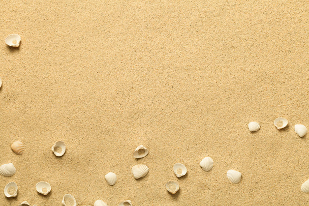 Summer, Sand Background with Shells - 写真・画像