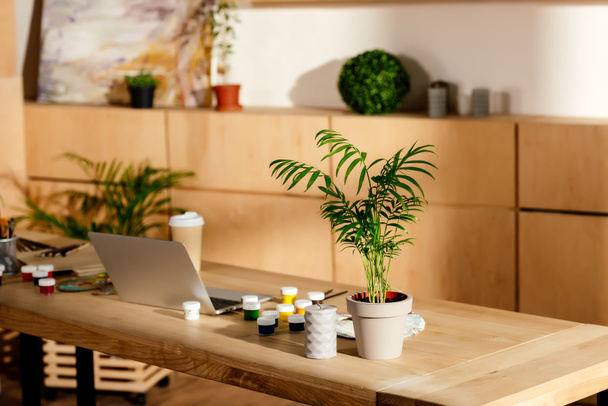 interior del estudio del artista con suministros de pintura, ordenador portátil y maceta de la planta en la mesa de madera
  - Foto, imagen