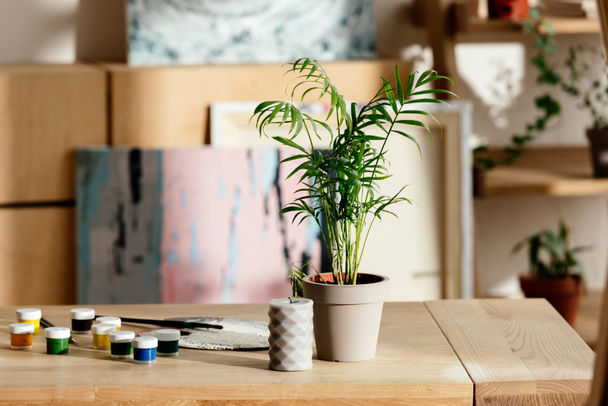鉢植えの植物、キャンドル、パレットやアーティストのスタジオのテーブルで塗料のクローズ アップ ショット  - 写真・画像