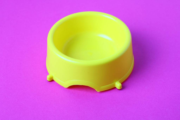dry cat food in yellow bowl  - Foto, Imagen