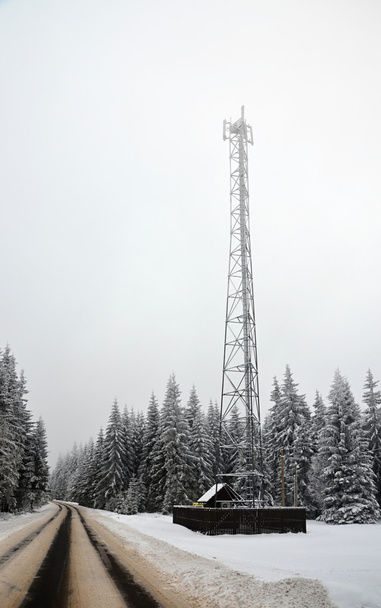 winterlandschap in de Tsjechische Republiek - Foto, afbeelding