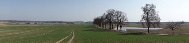 Táj a fákkal szegélyezett út déli Olsztyn, Warmia, Lengyelország. Panorámás lövés. - Fotó, kép