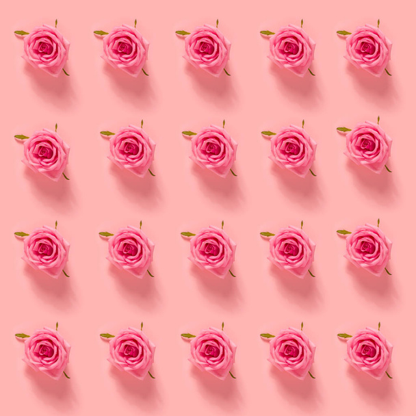 Pink roses on pastel pink background - 写真・画像