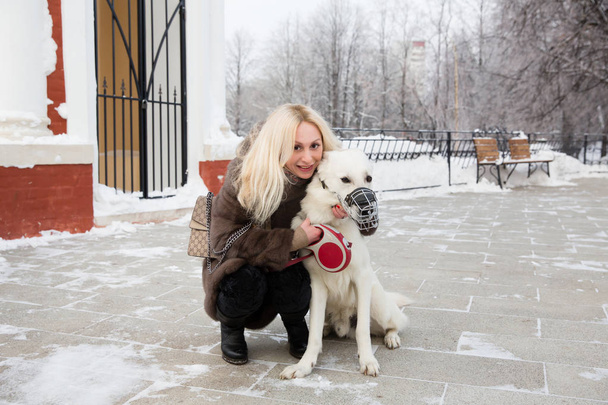 Beautiful blonde woman walking with White Swiss shepherd dog in winter - Fotoğraf, Görsel