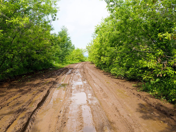 Route de campagne boueuse humide, Une route de campagne avec des ornières et des flaques
 - Photo, image