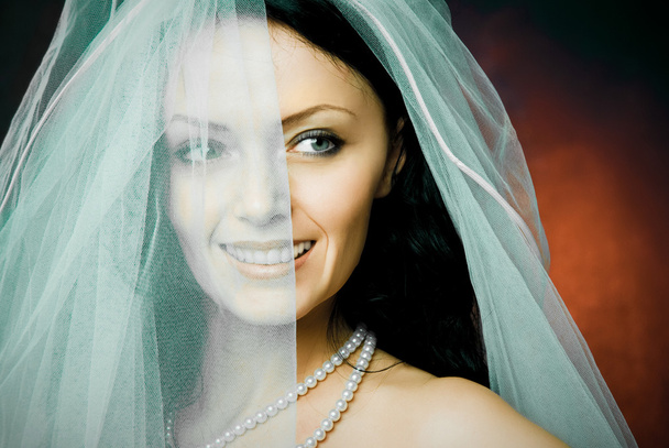 Beautiful happy brunette bride wearing a veil - Foto, Imagem