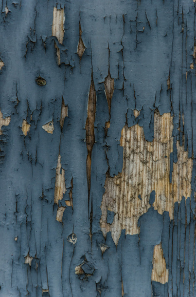 peeling verf op hout - Foto, afbeelding