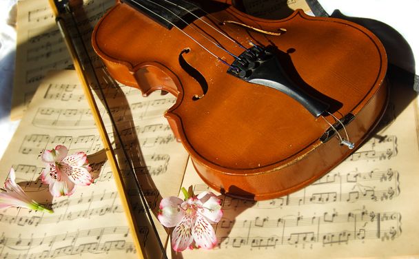 viool op muziek vel - Foto, afbeelding