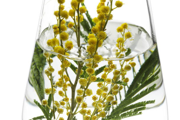 Glas kolf met bloemen op witte achtergrond, close-up - Foto, afbeelding
