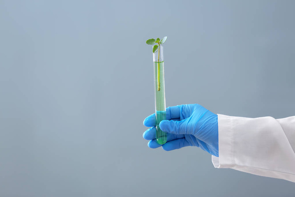 Científico sosteniendo tubo de ensayo con planta sobre fondo de color
 - Foto, imagen