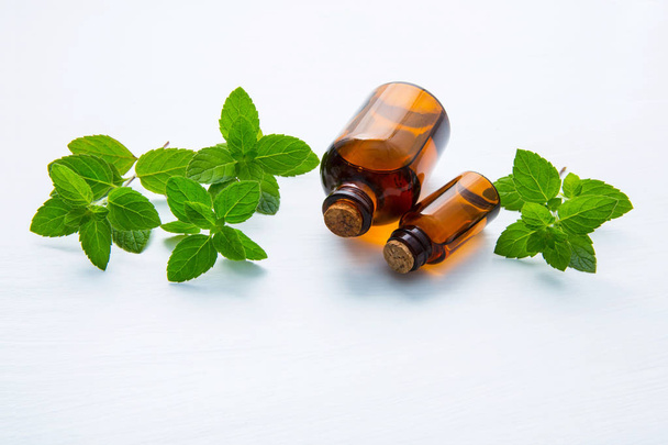 Natural Mint Essential Oil in a Glass Bottle with Fresh Mint Leaves on white background. - Photo, image