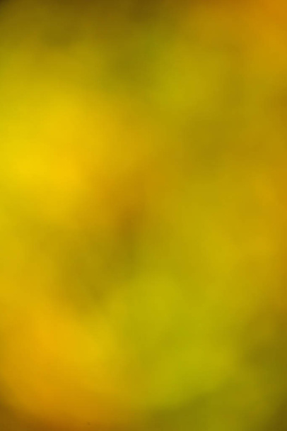 colorful blurred background of yellow and green - Photo, Image