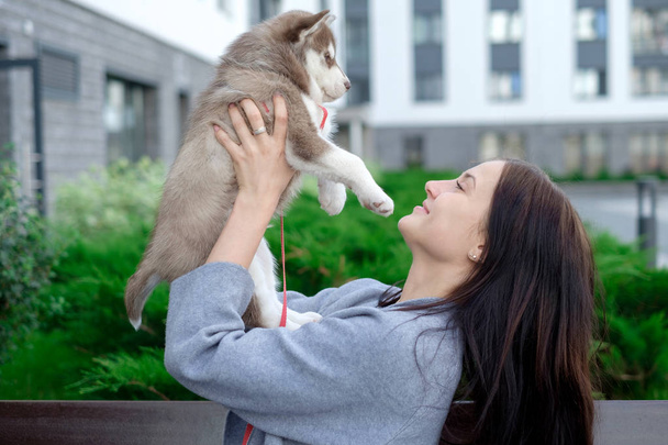 Young women holds her best friend little pet puppy of husky in her arms. love for dogs - Фото, зображення