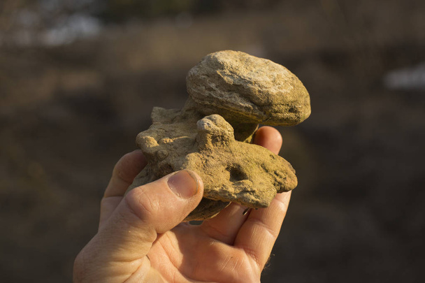 A strange stone in the hand of man. - Photo, Image