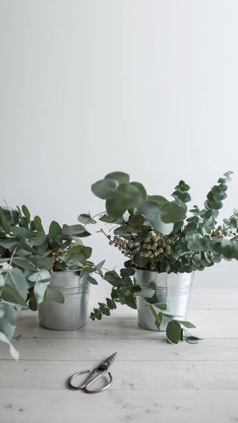 Eucalyptus branches in buckets on a wooden table - Foto, immagini
