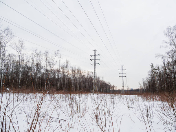 Power line towers  in Losiny Ostrov National Park. Elk Moose Island in Moscow, Russia. Winter or early spring landscape. - Фото, изображение