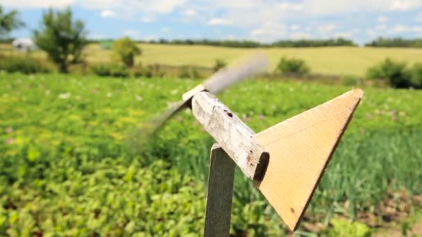girouette d'avion en bois fait maison près du champ de la ferme
 - Séquence, vidéo