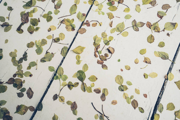 Bladeren patroon op witte vloer - Foto, afbeelding