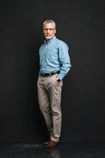 Full length photo of elderly businessman 70s with grey hair and  - Photo, Image