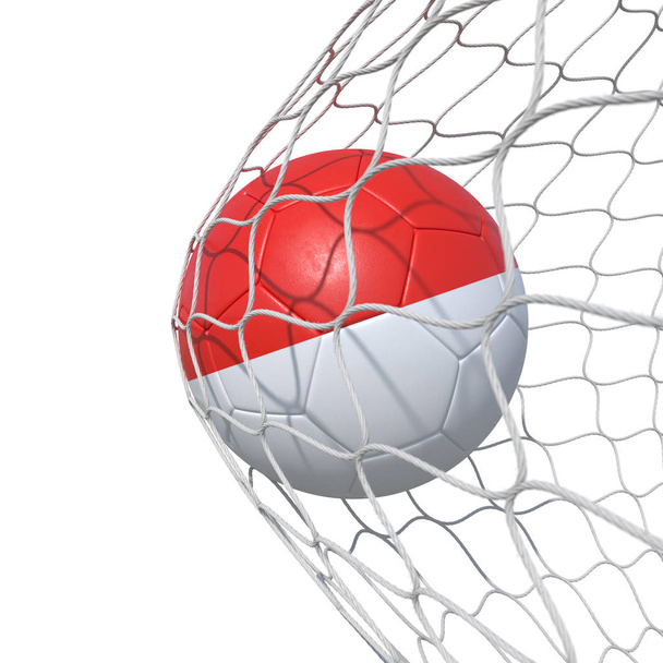 Monaco flag soccer ball inside the net, in a net. - Фото, зображення