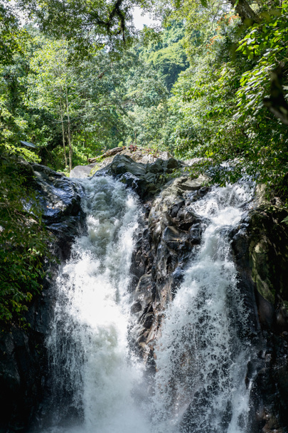 malerischer Blick auf heilende Wasserfälle und verschiedene grüne Pflanzen, bali, Indonesien - Foto, Bild